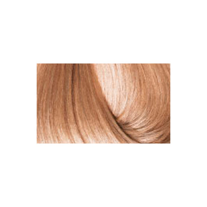 BBCOS Earthia Color - Arctic Brown