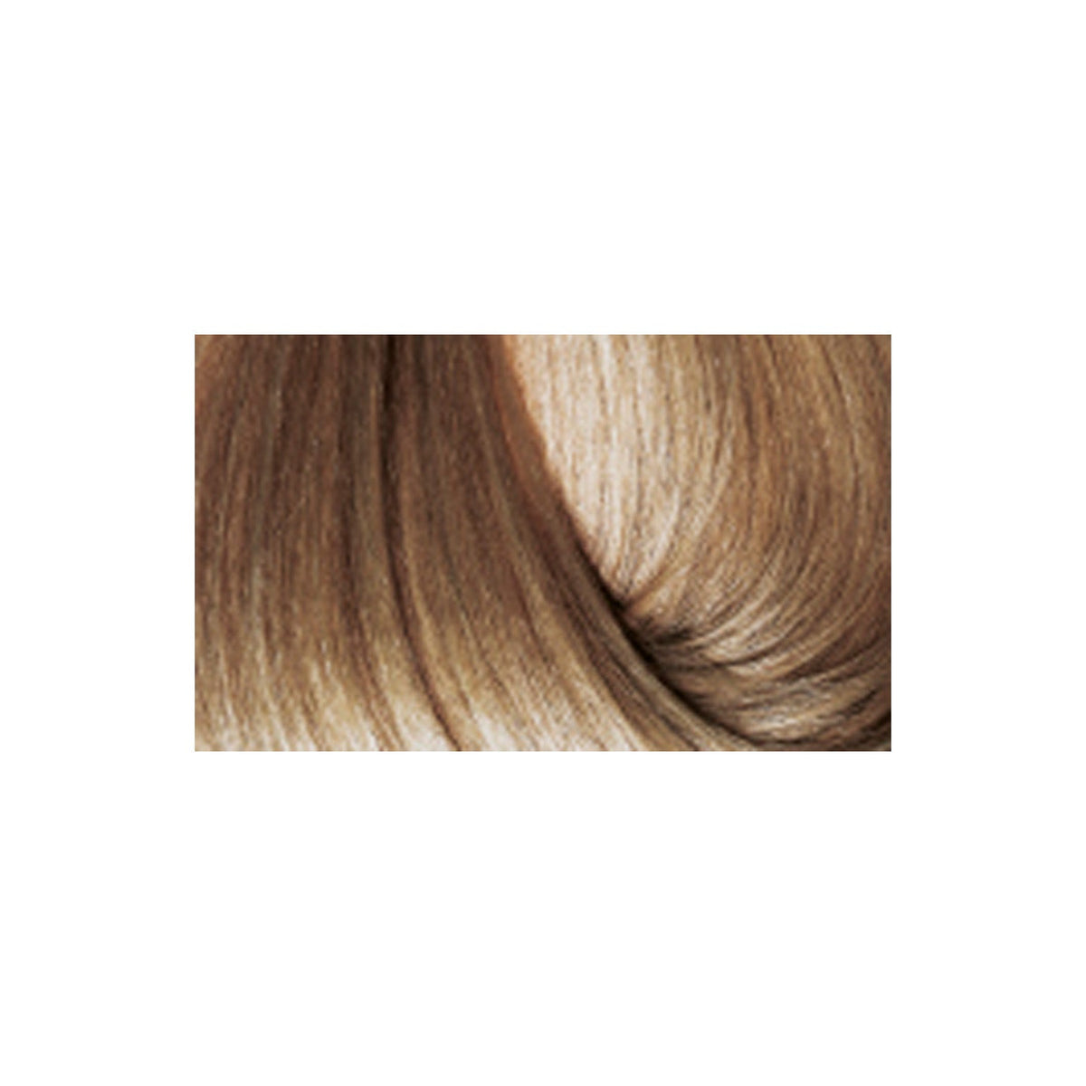 BBCOS Earthia Color - Ash